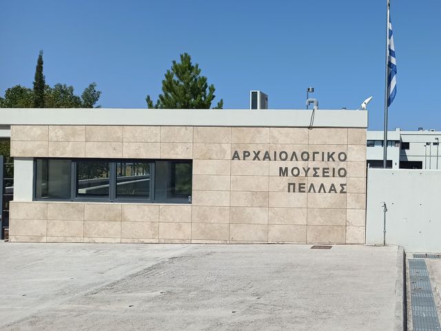 Индивидуальная обзорная экскурсия из Салоник в Пеллу — фото 2