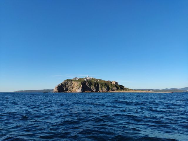 Морская экскурсия на о. Русский, Рейнеке и обед из морепродуктов — фото 3
