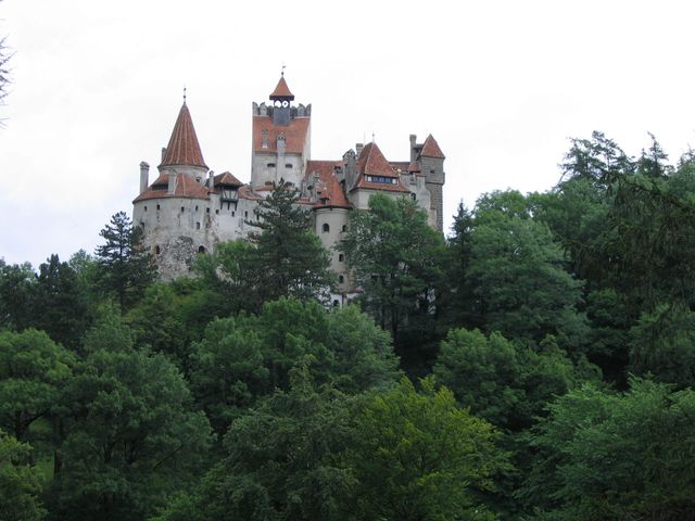 Индивидуальная обзорная экскурсия "Королевские замки" — фото 3
