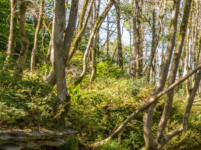 Групповая обзорная экскурсия из Избербаша в Самурский лес+«Лунь» — фото 2
