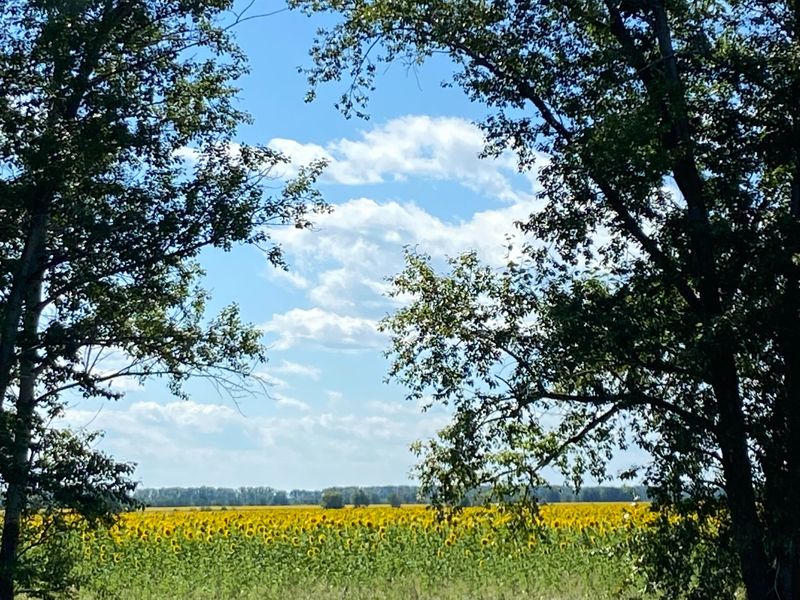 По дороге в замок