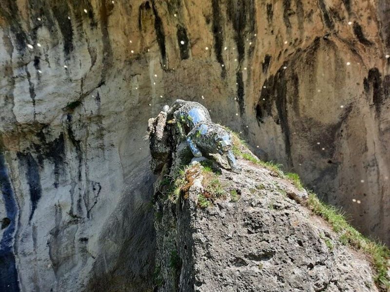 Зеркальный барс
