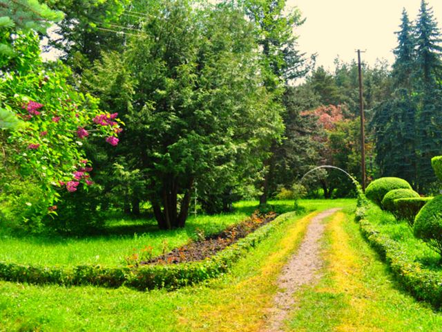 Обзорная экскурсия в Сагмосаванк, дендропарк и Лорийскую крепость — фото 2