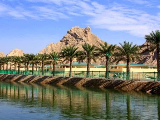 Индивидуальная обзорная экскурсия из Дубая в город Аль-Айн — фото 2