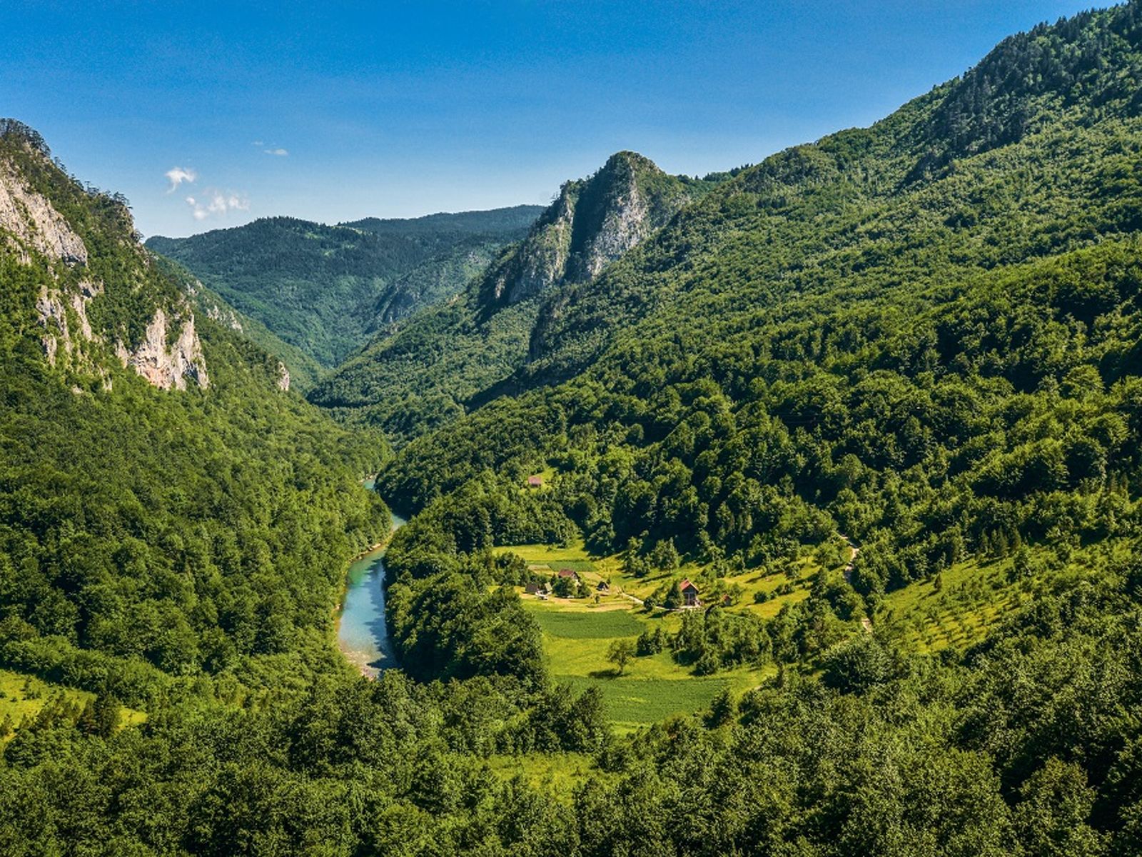 Каньон реки Тары