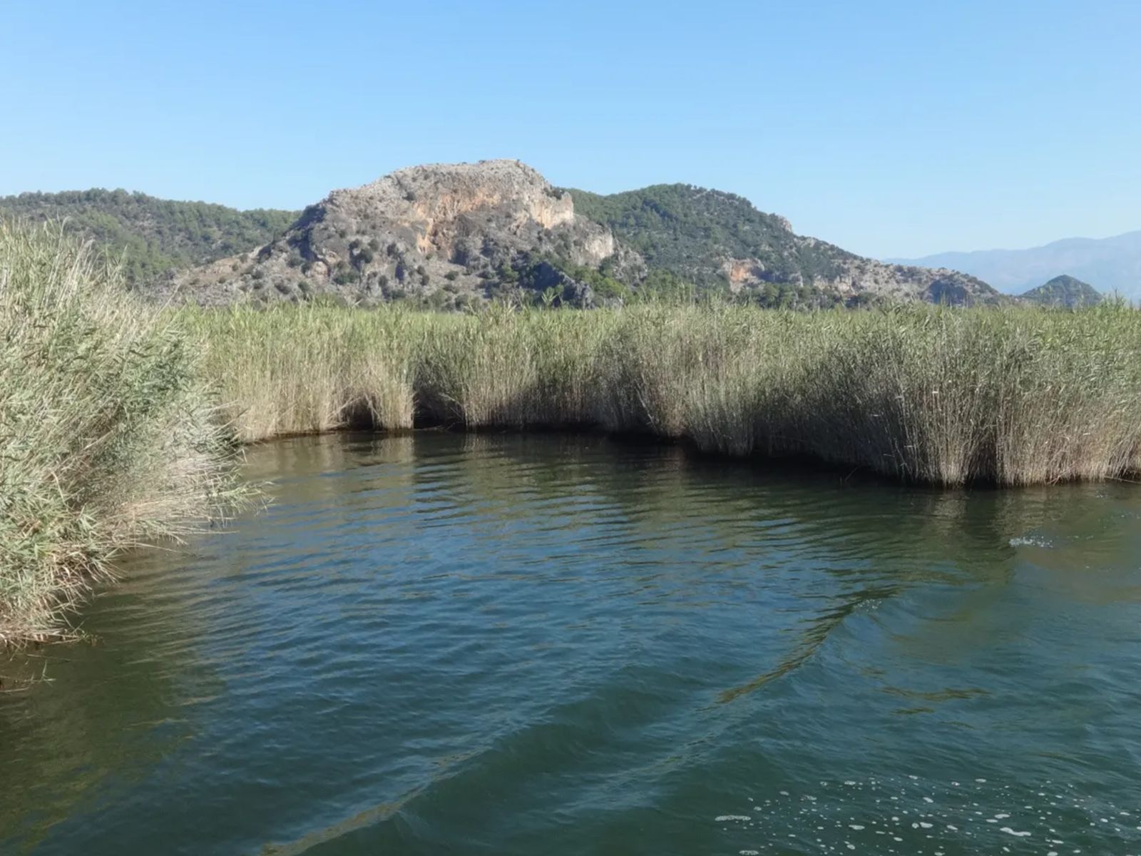 На реке