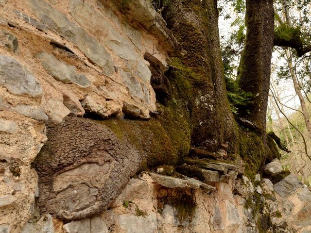 Индивидуальная экскурсия из Афин в церковь Святой Феодоры — фото 2