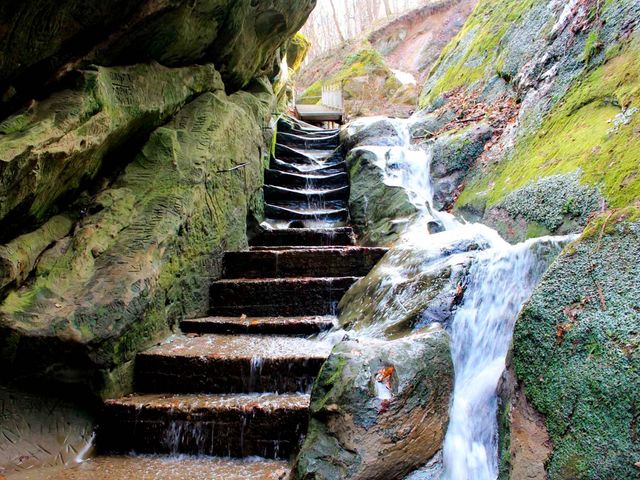 Обзорная экскурсия в Горячий Ключ. Целебный парк с фотосессией — фото 2