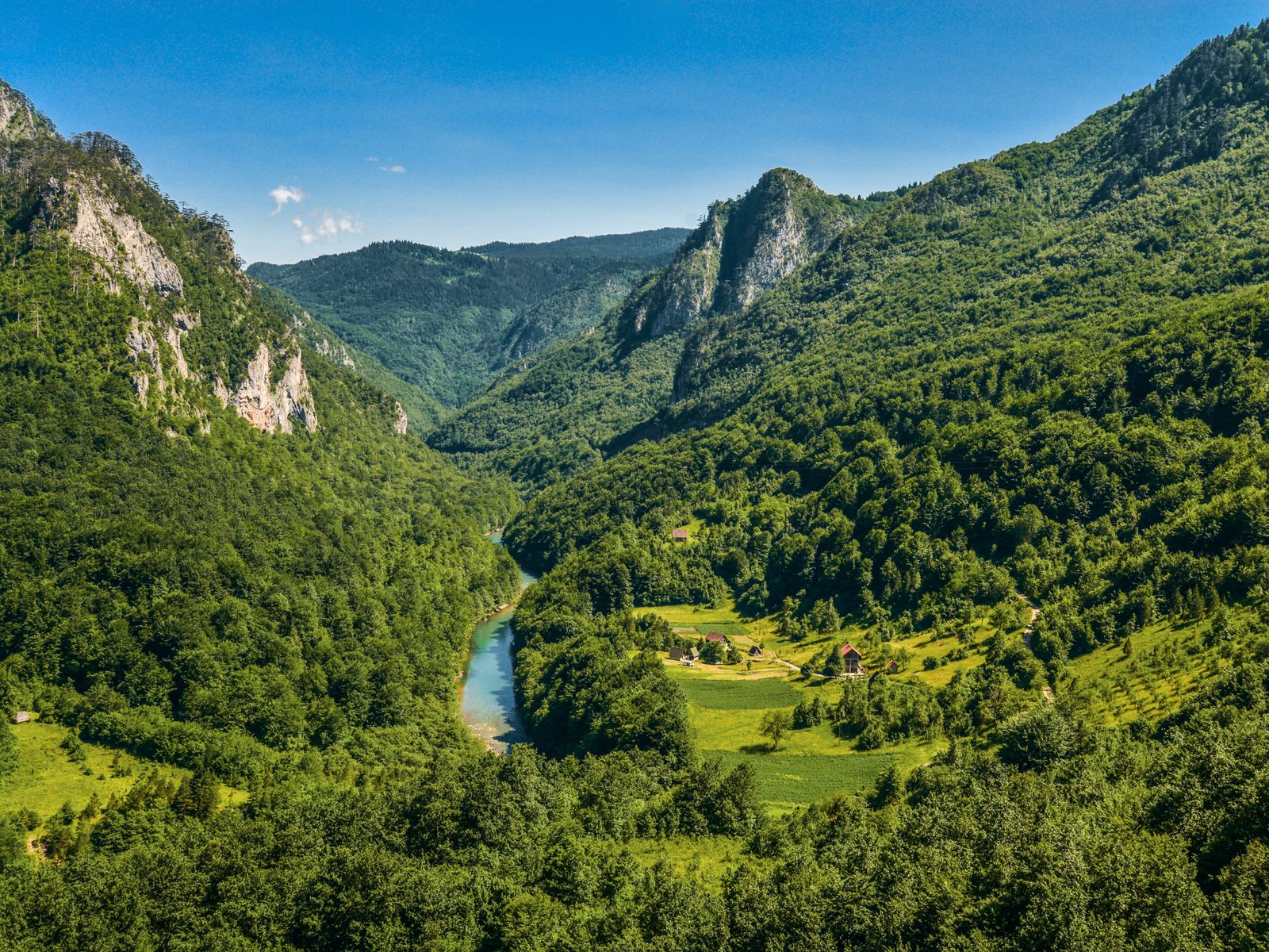 Река Тара