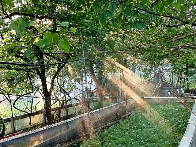 Групповая обзорная экскурсия на улиточную ферму в Адлере — фото 2