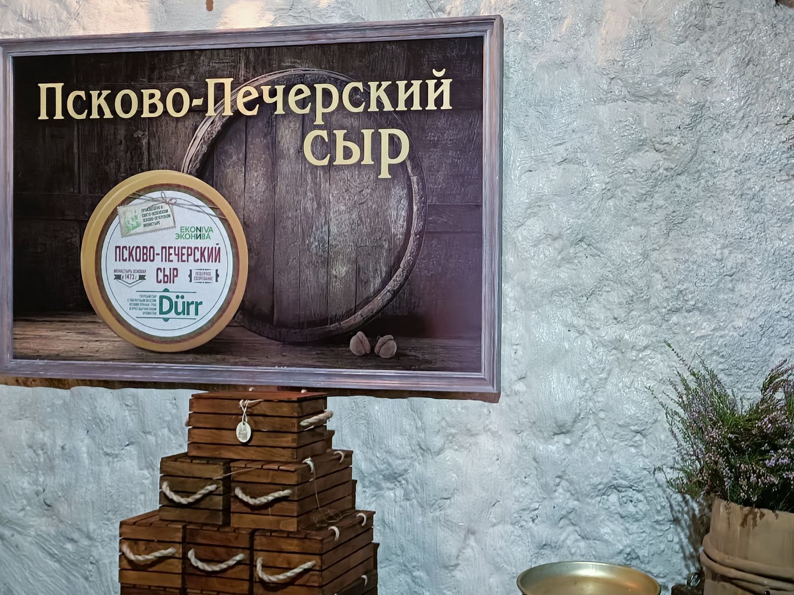 Сыр