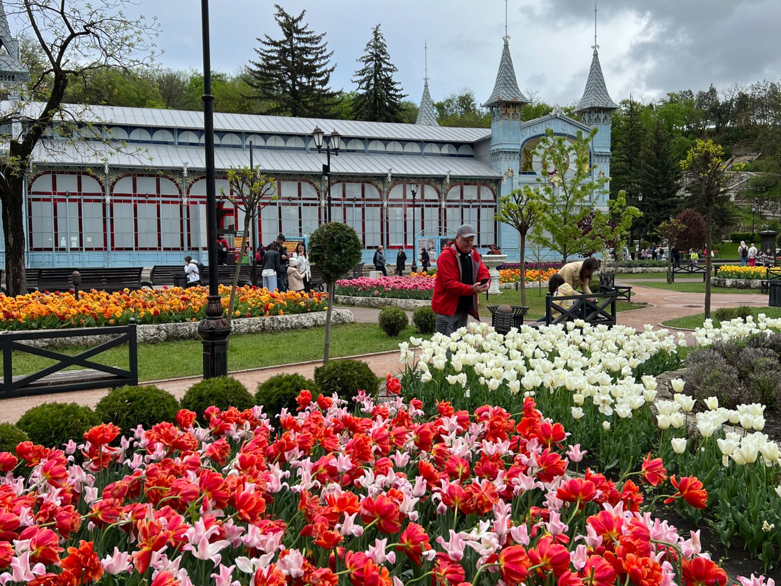 Клумбы