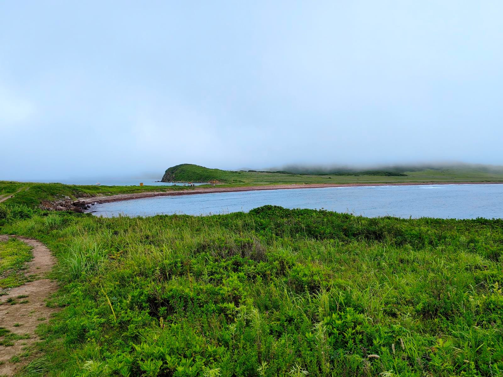 Зелень