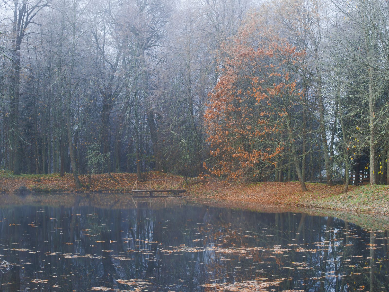 Красивая природа