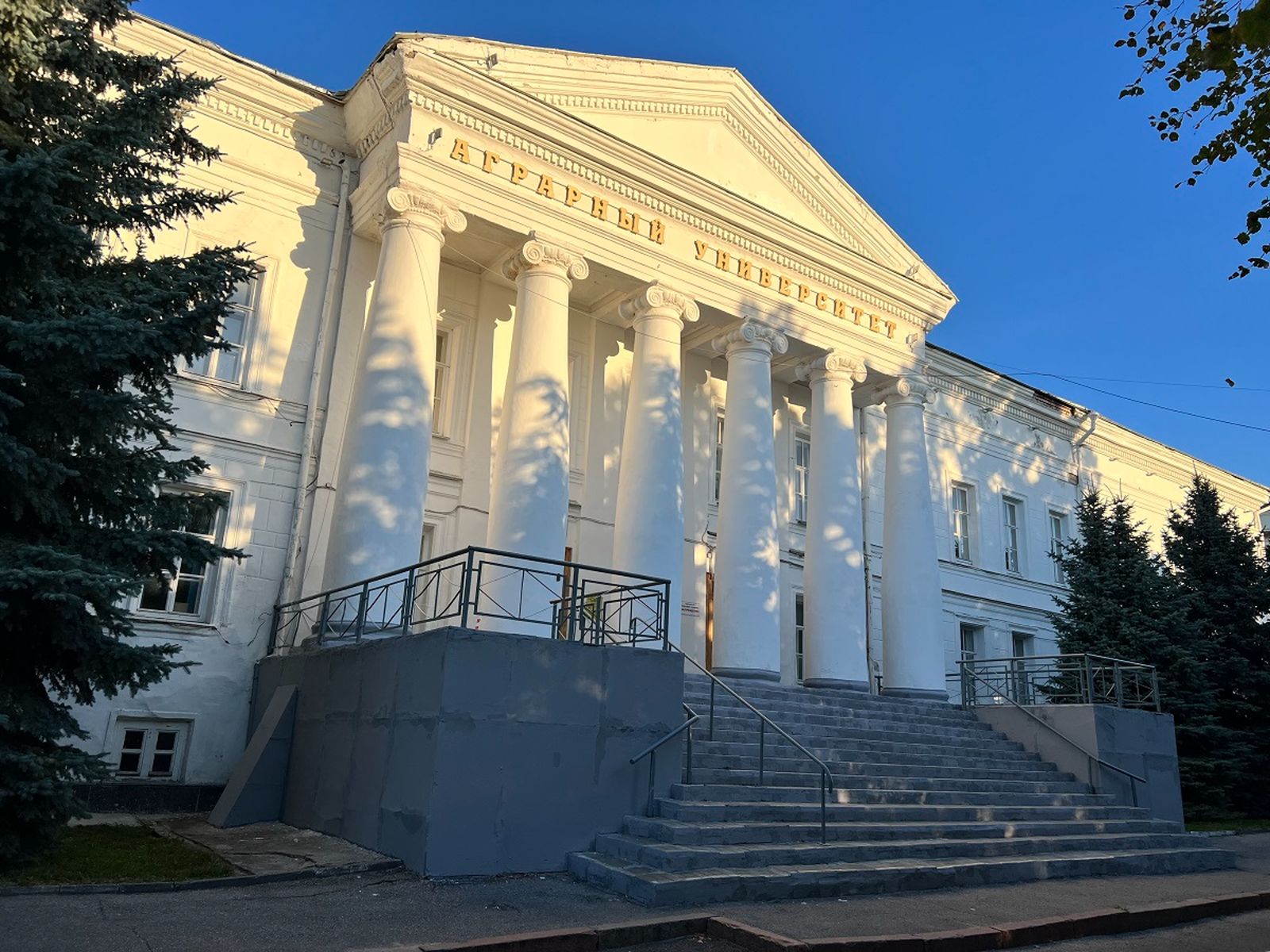 Университет