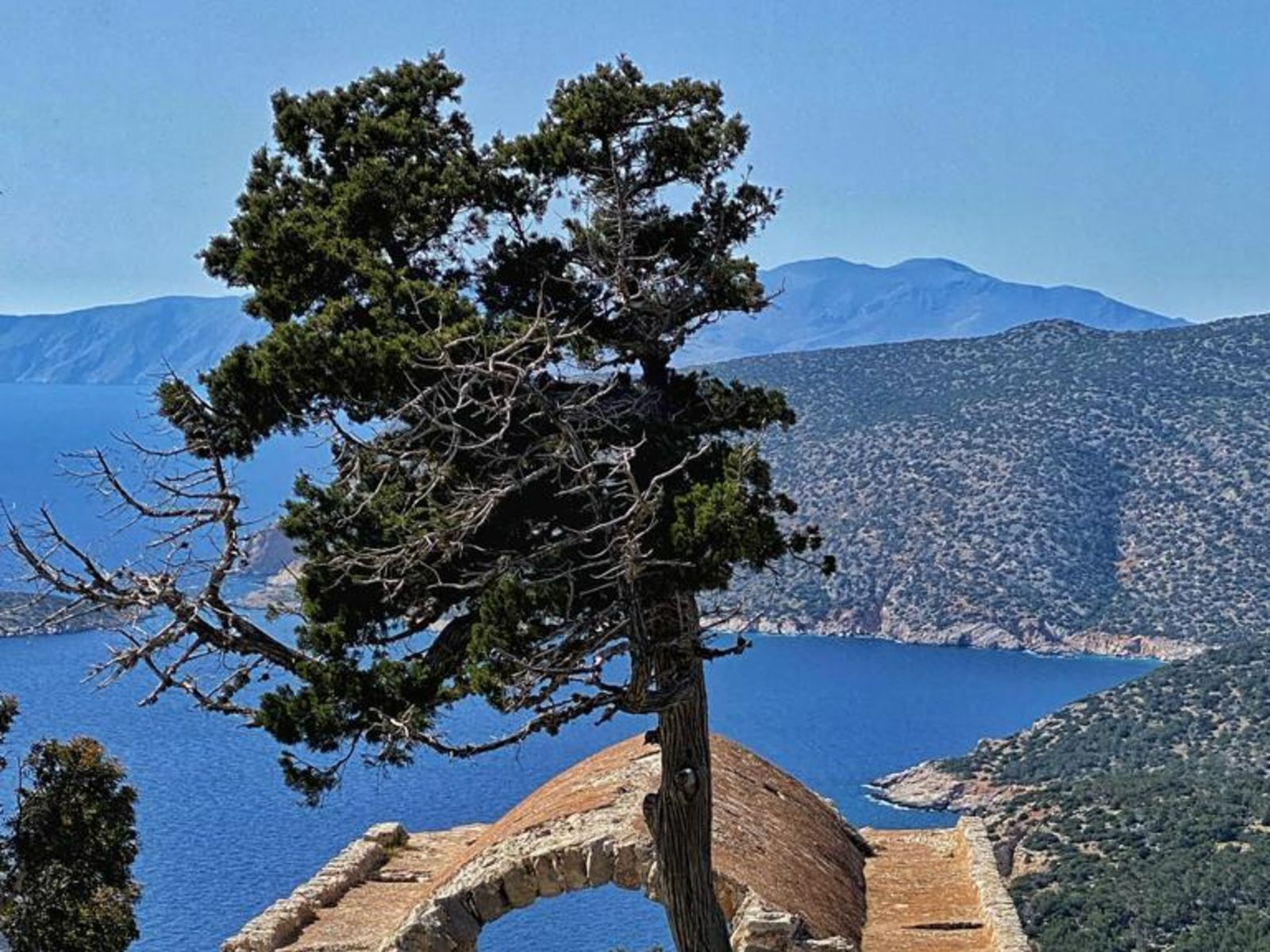 Панорама