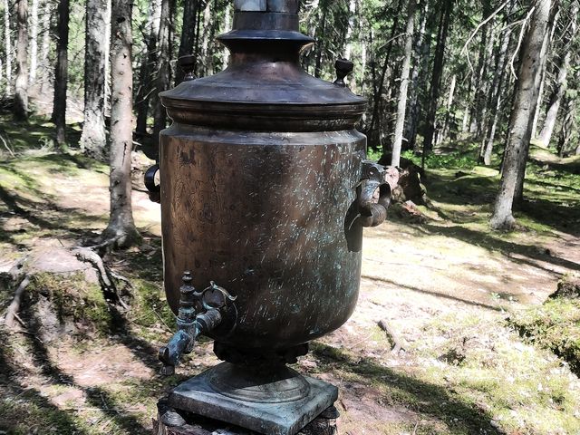 Экскурсия в Юхнов и нацпарк "Угра": тайны юхновских лесов — фото 2