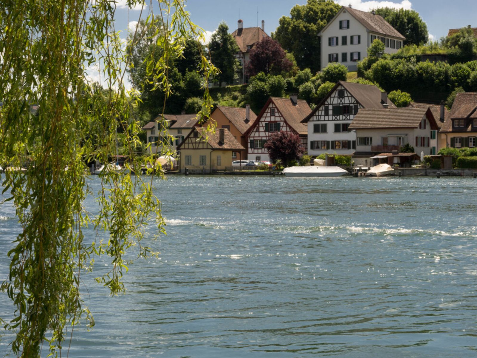 Рейн