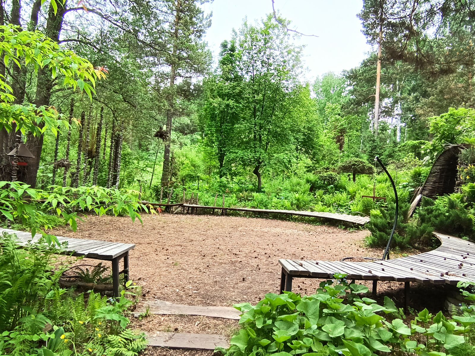 В парке