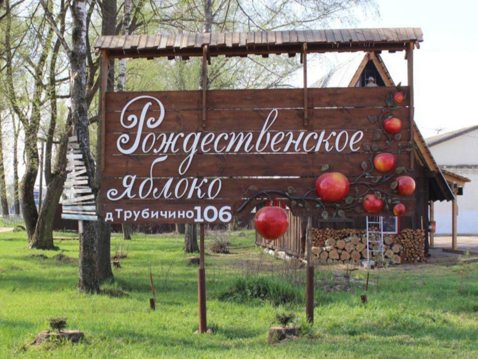 Рождественское яблоко  