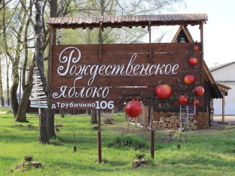 Рождественское яблоко