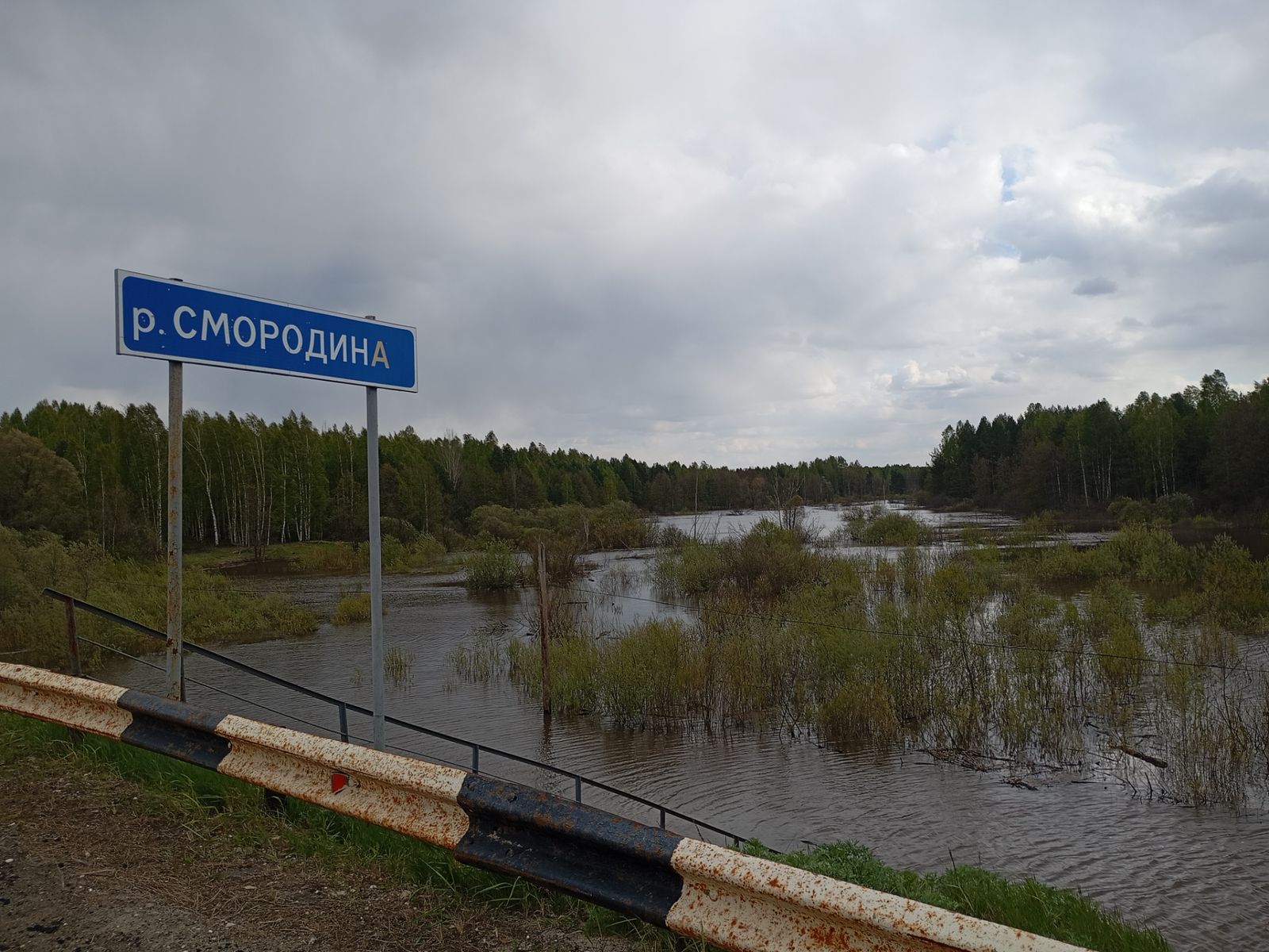 Река Смородина
