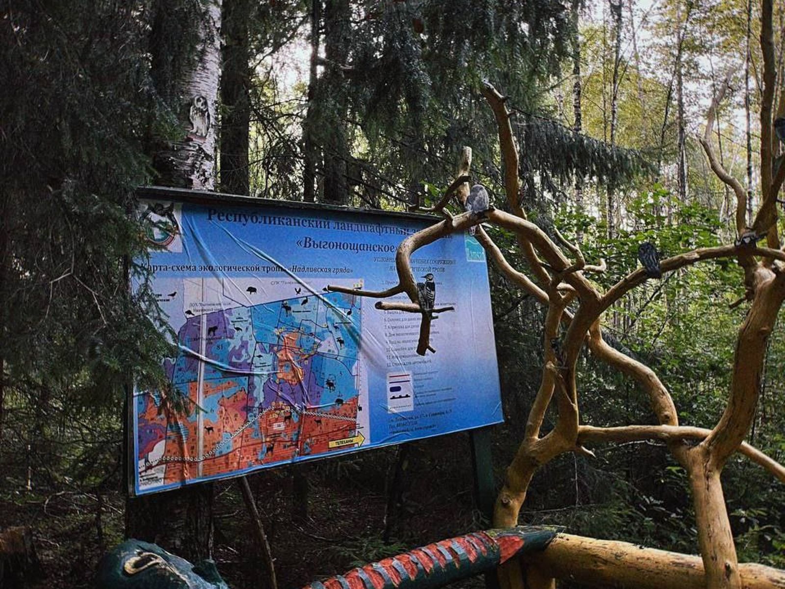 Ландшафтный парк