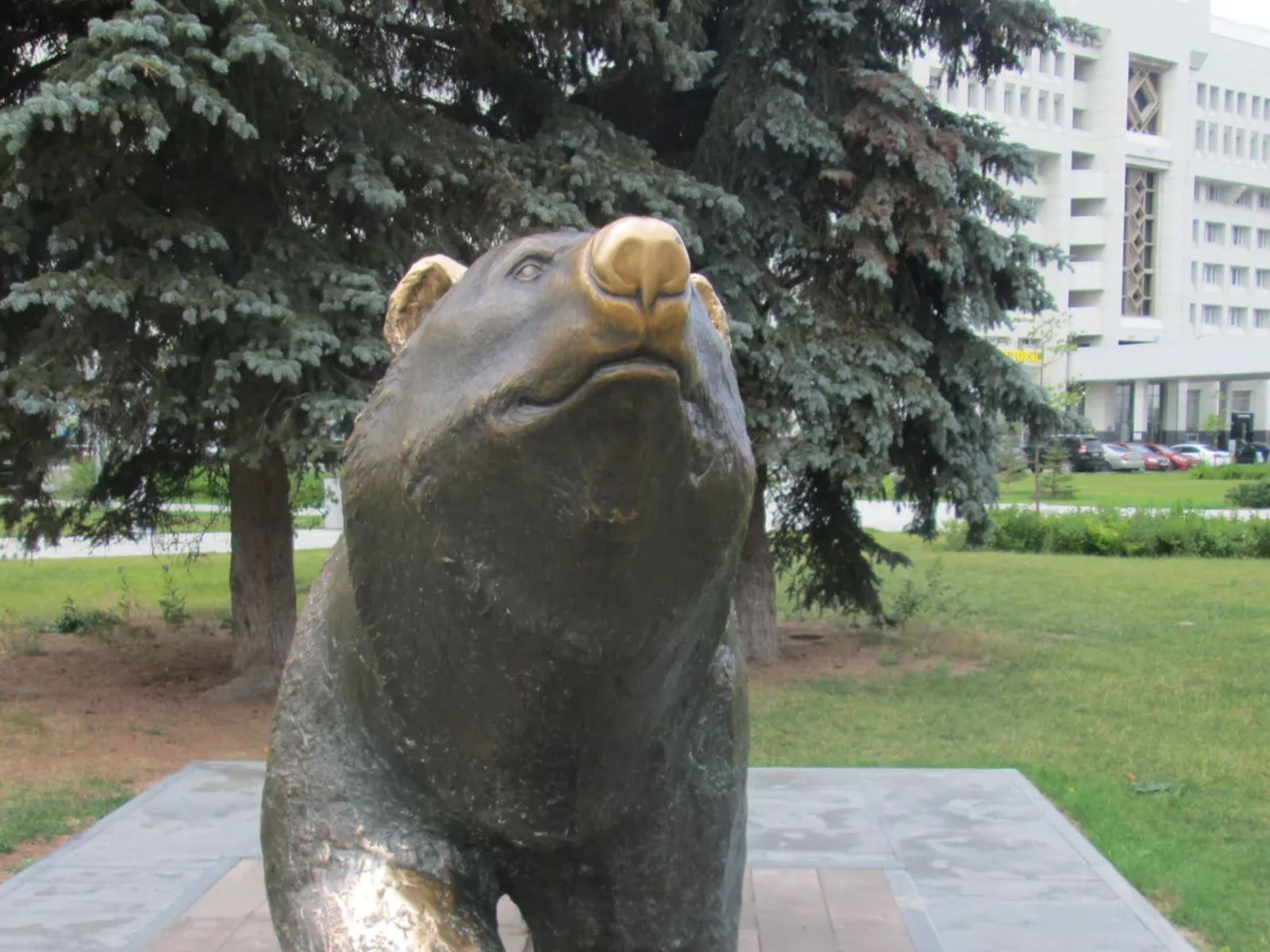 Пермский мишка