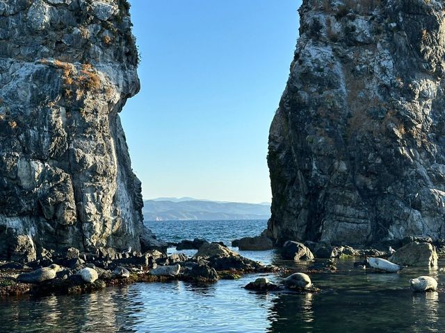 Трансфер к тюленям и морским львам в естественной среде обитания — фото 3
