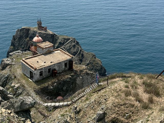 Индивидуальная экскурсия на остров Аскольд с морскими котиками — фото 2