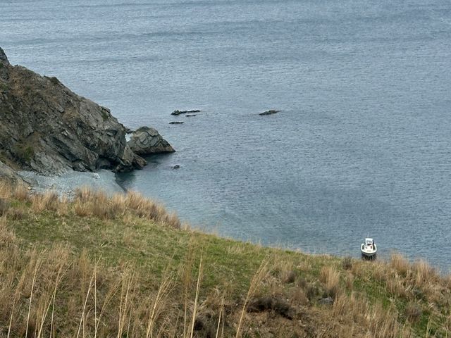 Индивидуальная экскурсия на остров Аскольд с морскими котиками — фото 3