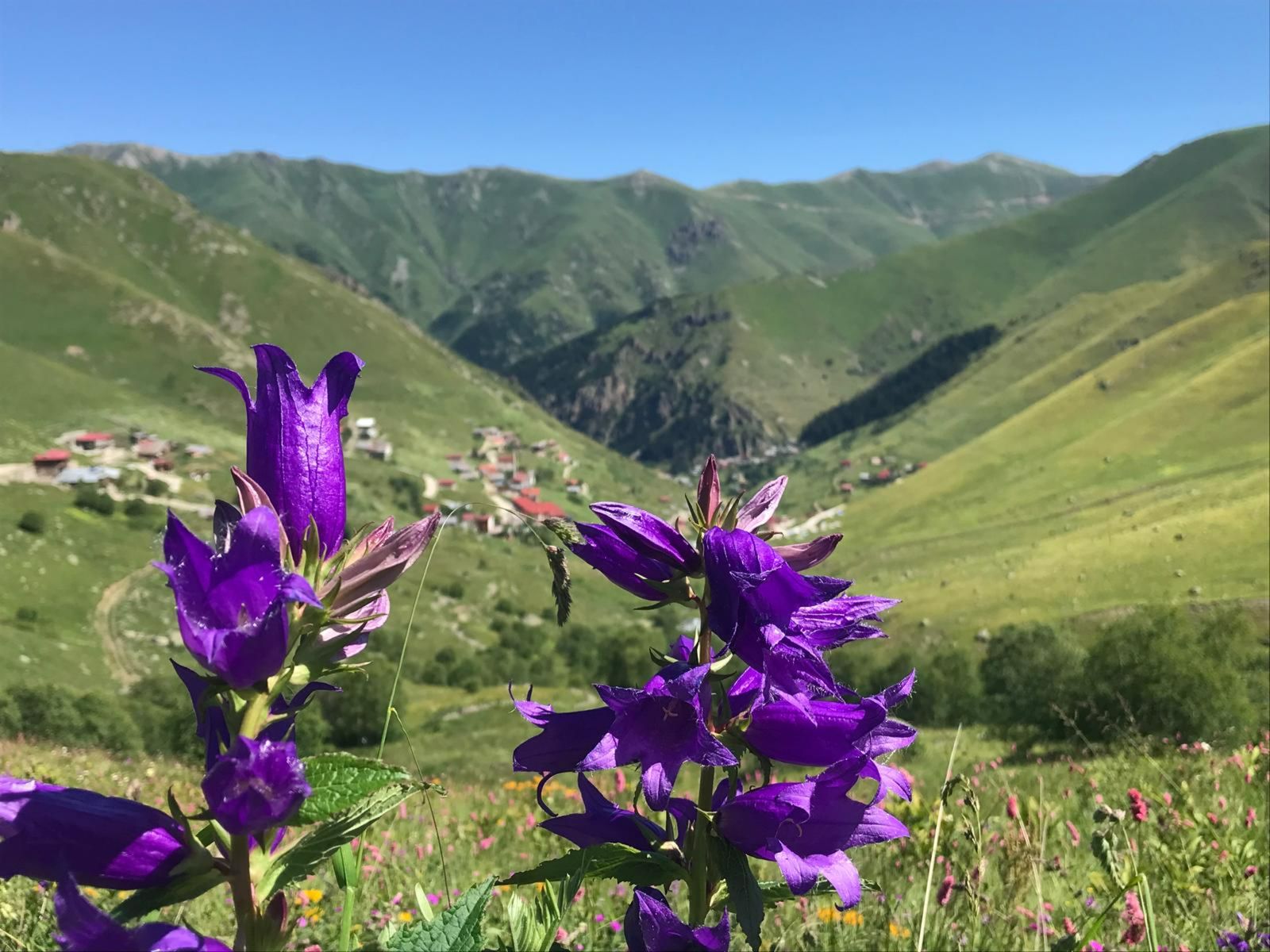 Экскурсия на озеро Узунгёль