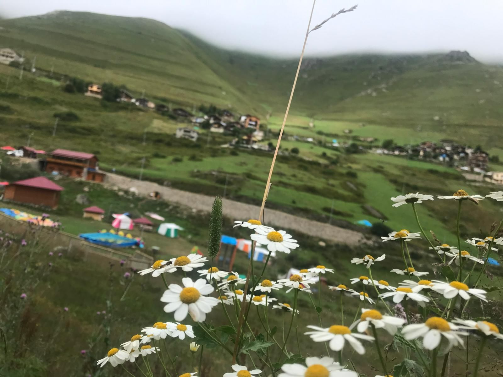 Пейзажи