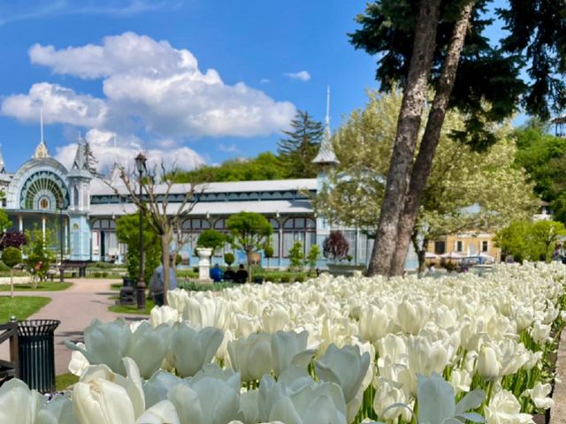 Экскурсия из Кисловодска по трём курортам региона КавМинВод — фото 2