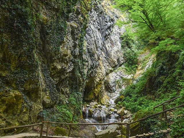 Групповая экскурсия в Габалу и Шемаху: алмазы природы и культуры — фото 3