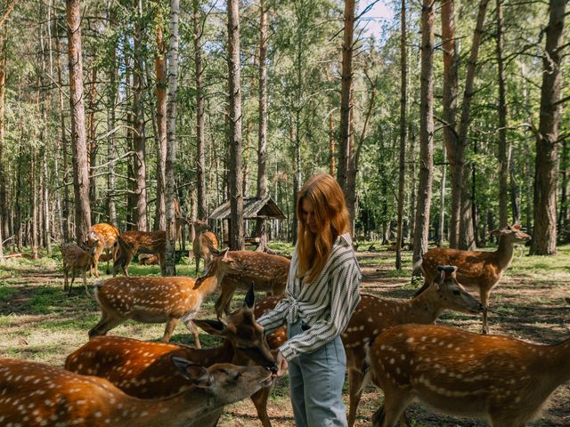 Групповая экскурсия из Нижнего Новгорода к оленям