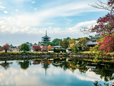 Экскурсии в Наре