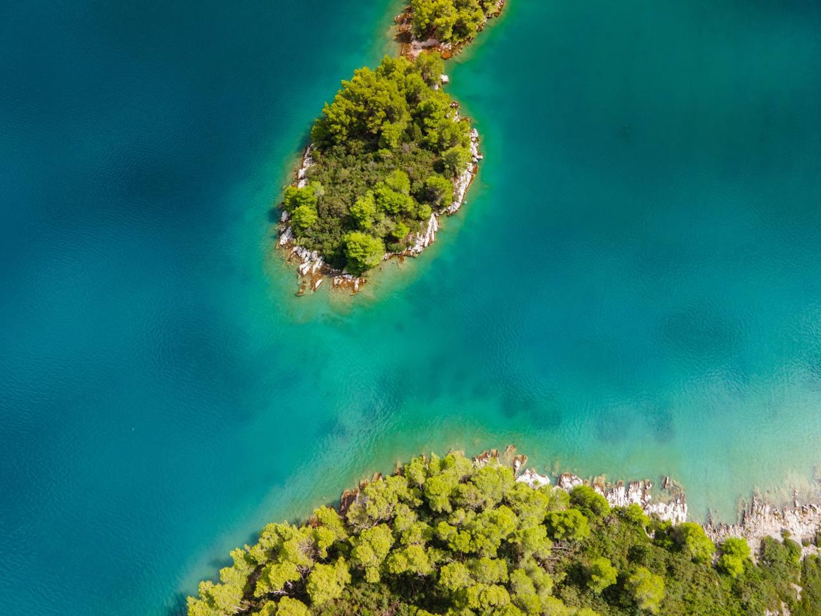 Панорама