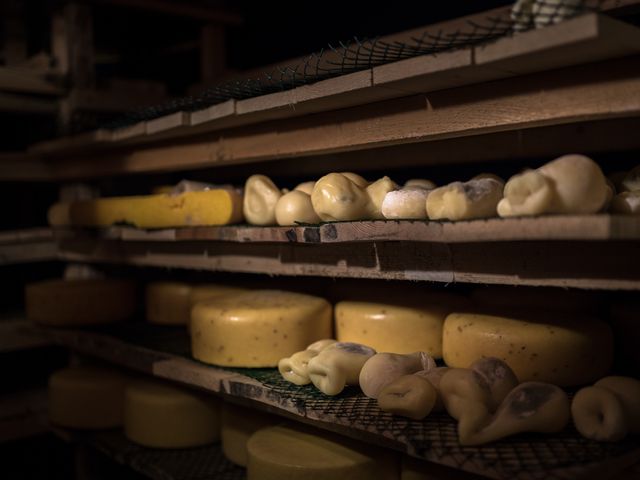 Индивидуальная обзорная экскурсия из Барселоны на гору Монсеррат — фото 3