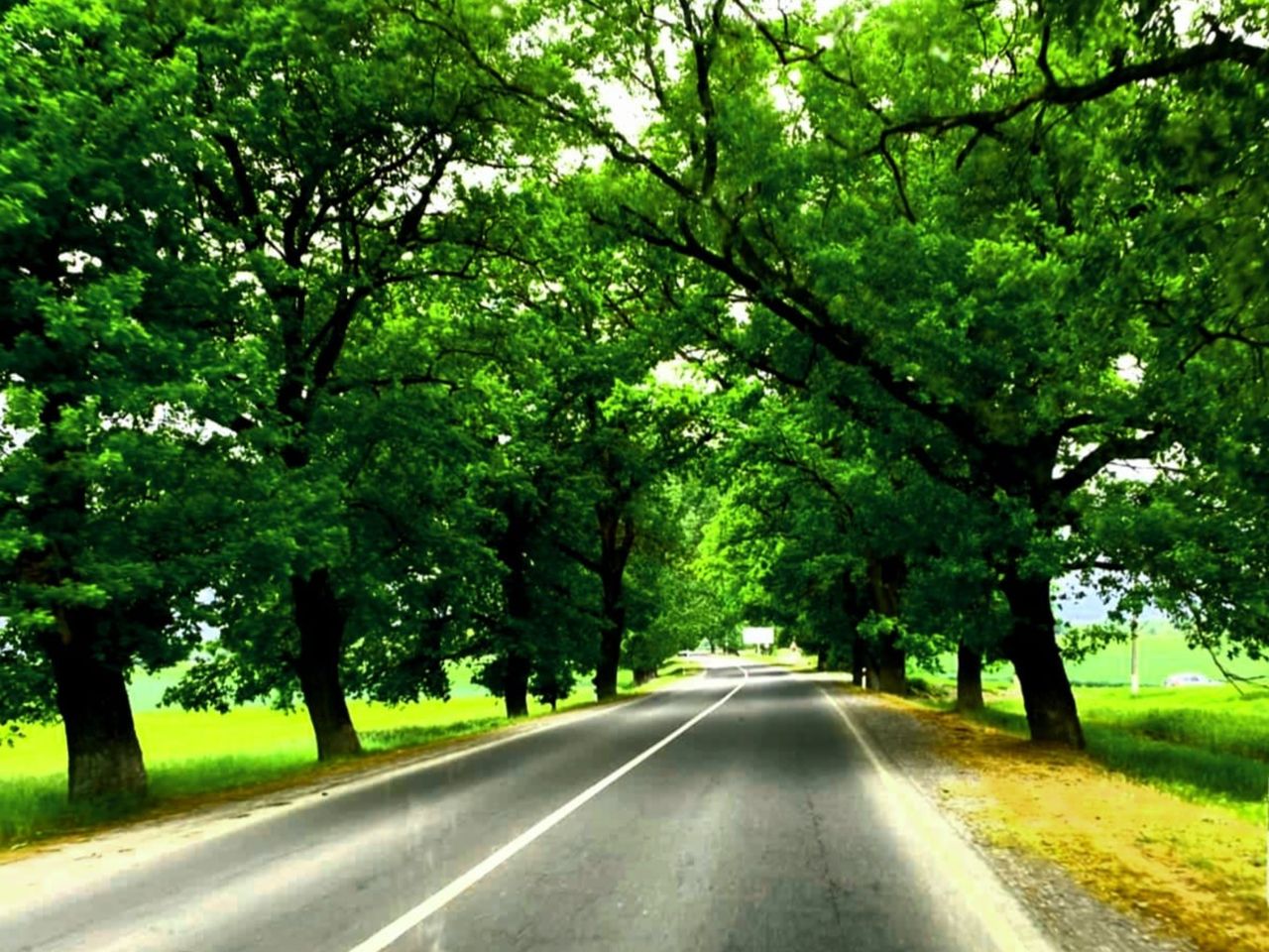 Топ живописных локаций Шемахи и Габалы: экскурсия из Баку - групповая экскурсия в Баку на автобусе длительностью 12 часов с количеством участников до 16 человек со скидкой 50% цена экскурсии 35€