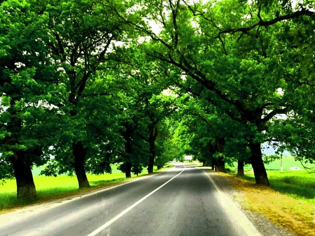 Топ живописных локаций Шемахи и Габалы: экскурсия из Баку