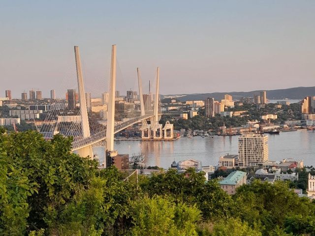 Обзорная экскурсия "Знакомство с Владивостоком и о. Русский"