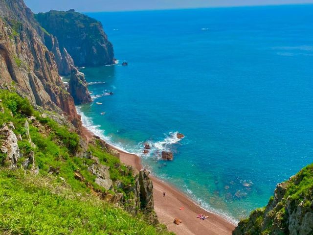 Групповая экскурсия из Владивостока: котики, гроты и морепродукты — фото 2