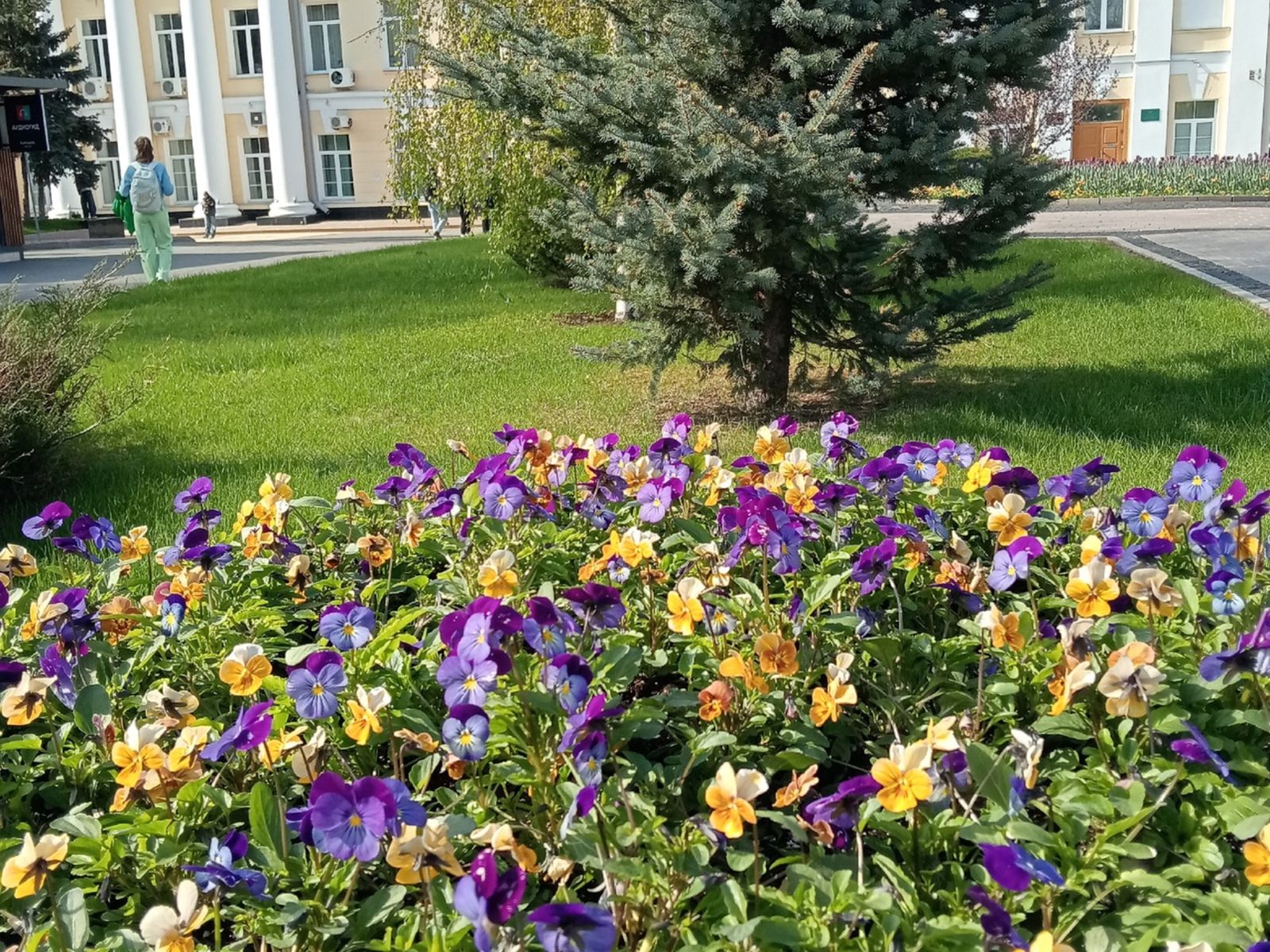 Плац-парадная площадь 