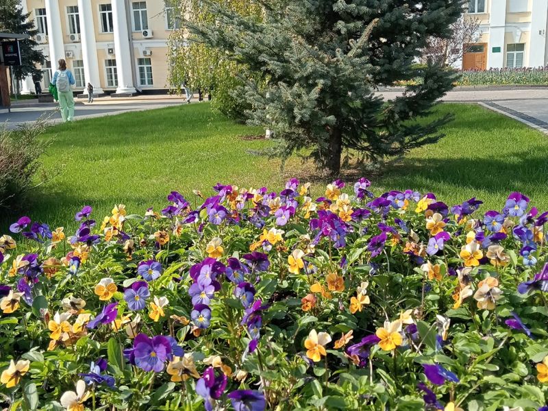 Плац-парадная площадь