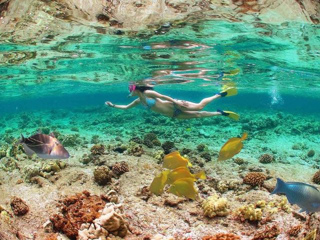 Экскурсия из Варадеро: Карибское море и крокодиловая ферма — фото 3