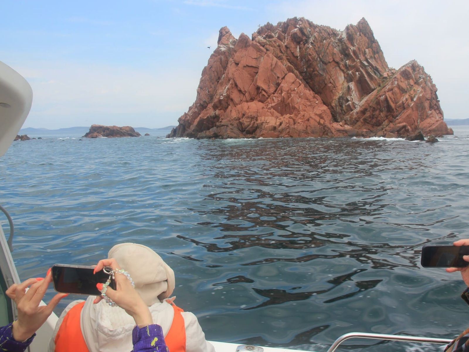 Фотосессия с морскими тюленями ларга
