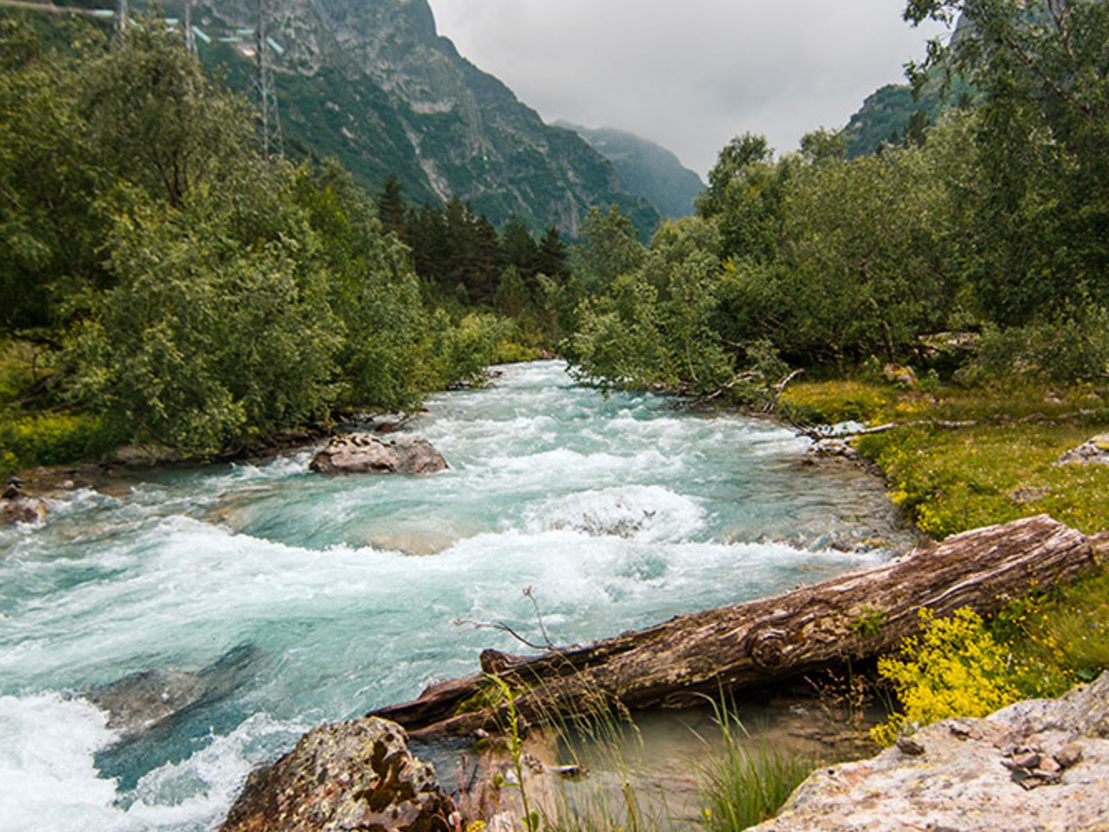 Горная река