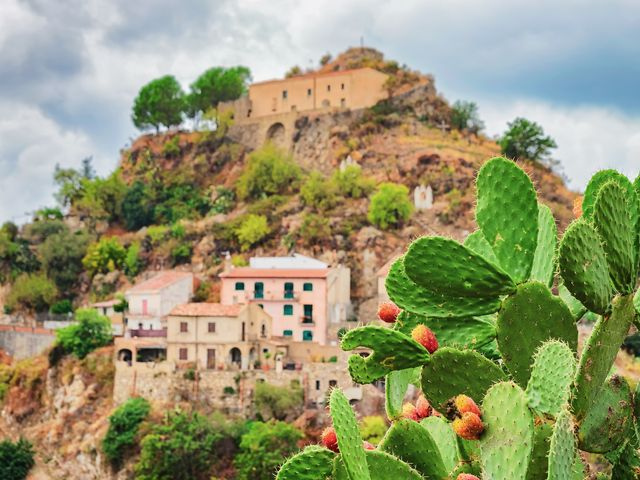 Индивидуальная тематическая экскурсия из Палермо в Корлеоне — фото 2