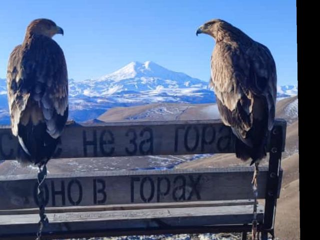 Групповая экскурсия из Кисловодска в Долину нарзанов — фото 3